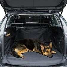 Protective Trunk Cover 1