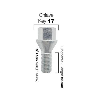 10 bulloni ch.17 12X1.5 l.25mm
