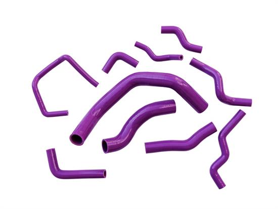 Radiator hose Manitor