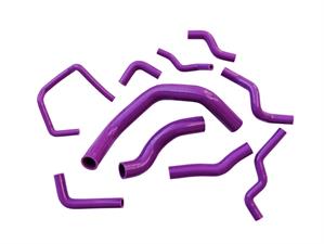Radiator hose Manitor