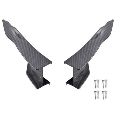 Canards carbon look