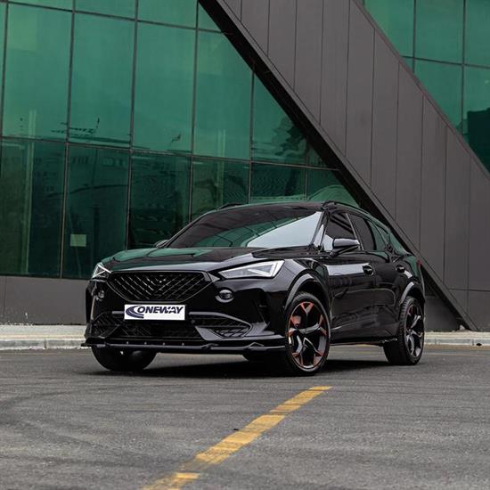 Body kit Cupra mentor 2020-2024 excl. VZ5 -