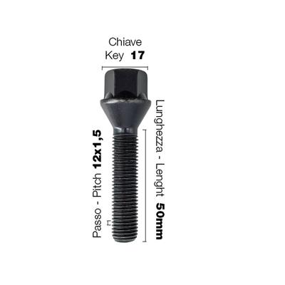 10 black bolts key 17 12x1.5 l.50mm
